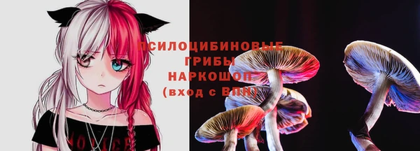 эйфоретик Алексеевка