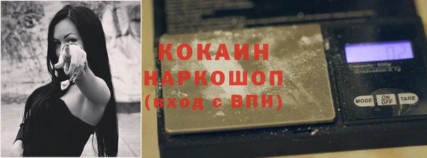 гидра Алексин