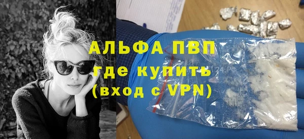 гидра Алексин