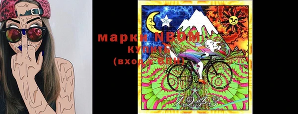 гидра Алексин