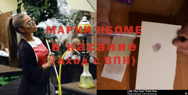 прущие грибы Алзамай